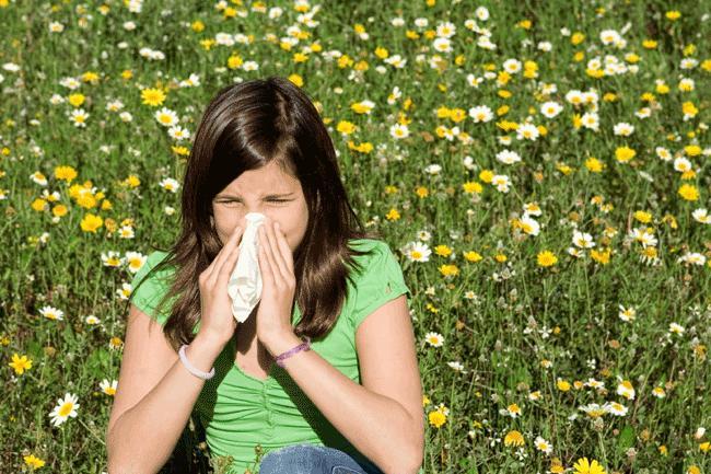 Primavera in ritardo: tregua agli allergici