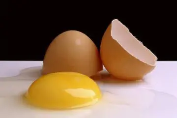 uovo