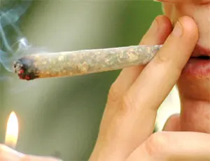 hashish_spinello_canna_marijuana2