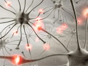 Epilessia