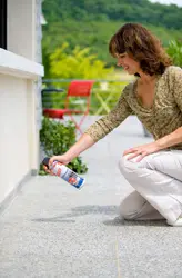 Spray-Insecticide-Patio
