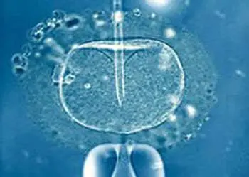 sstita1