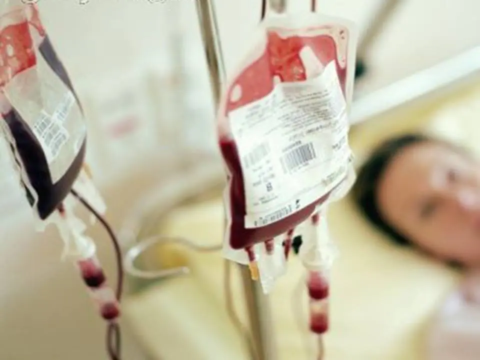logo-sacche-sangue