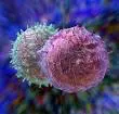 images (6)