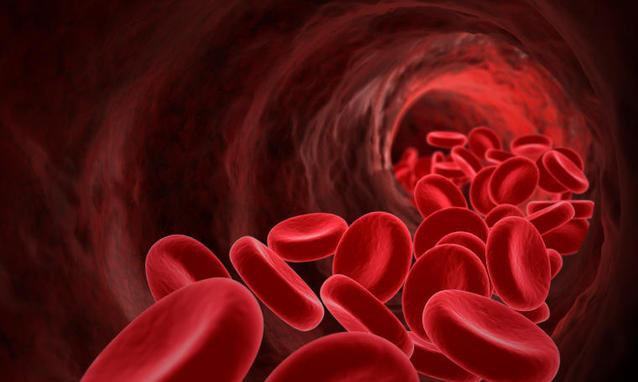 Ematologia: alleanza Italia-USA contro i tumori del sangue