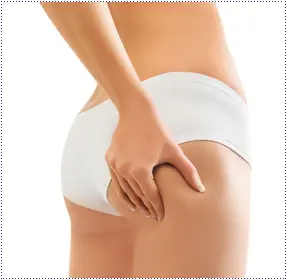 glutei2