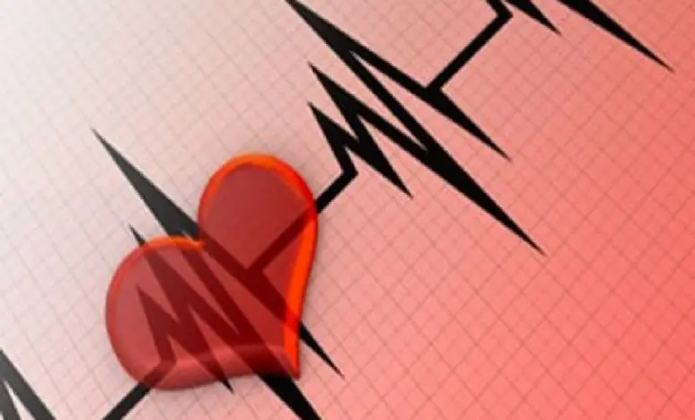 cuore_battito_ok_054207