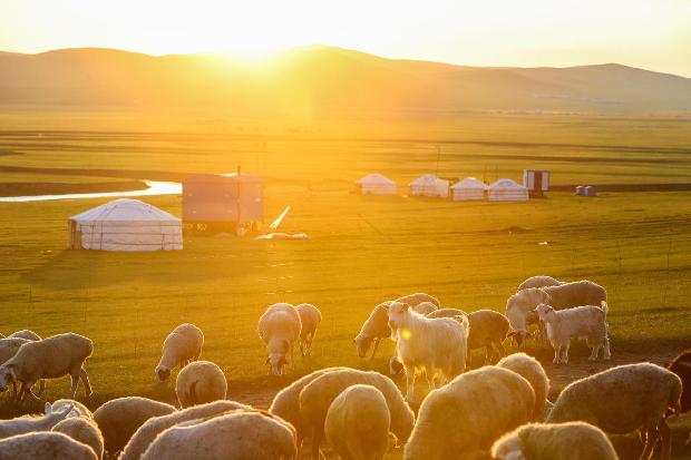 Sanità: peste bubbonica in Mongolia, Cina intensifica misure precauzione