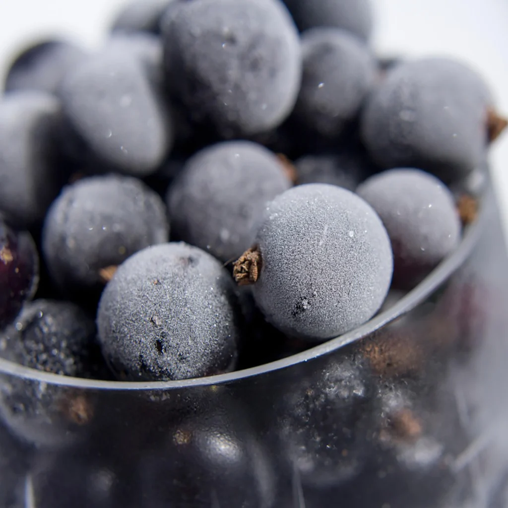 ribes nigrum macerato glicerico proprietà