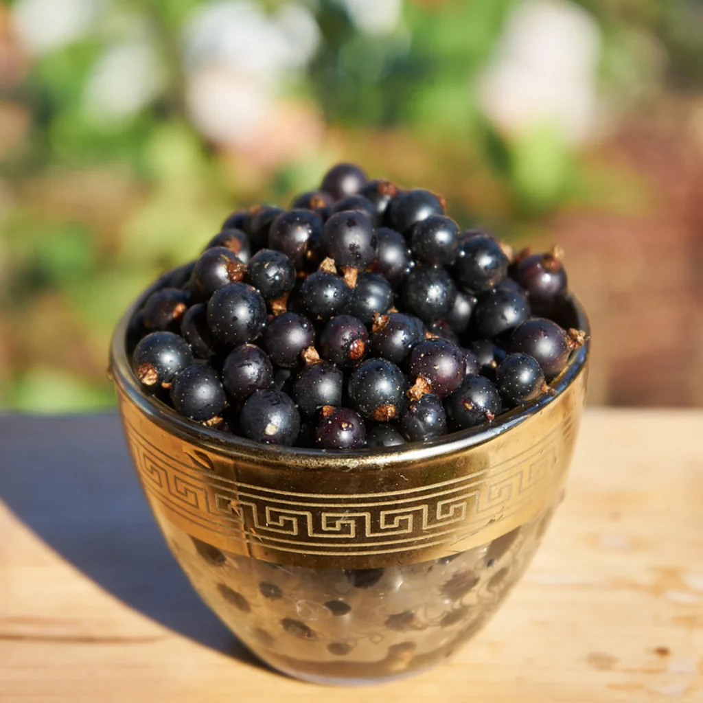 ribes nigrum macerato glicerico proprietà