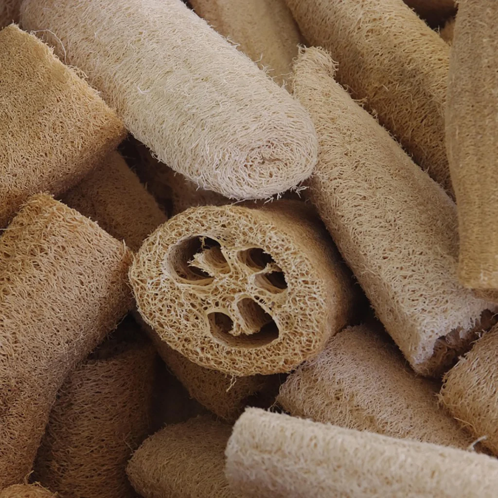 spugna di luffa