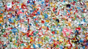 microplastiche rischi