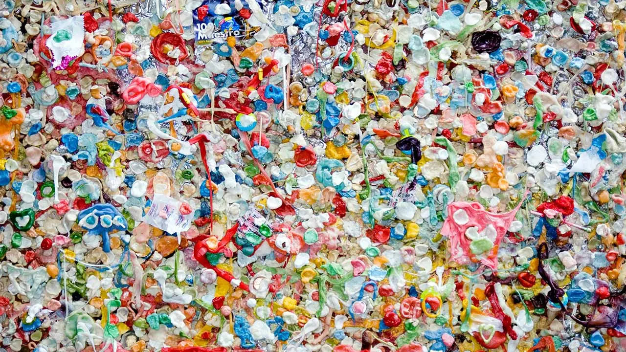 microplastiche rischi