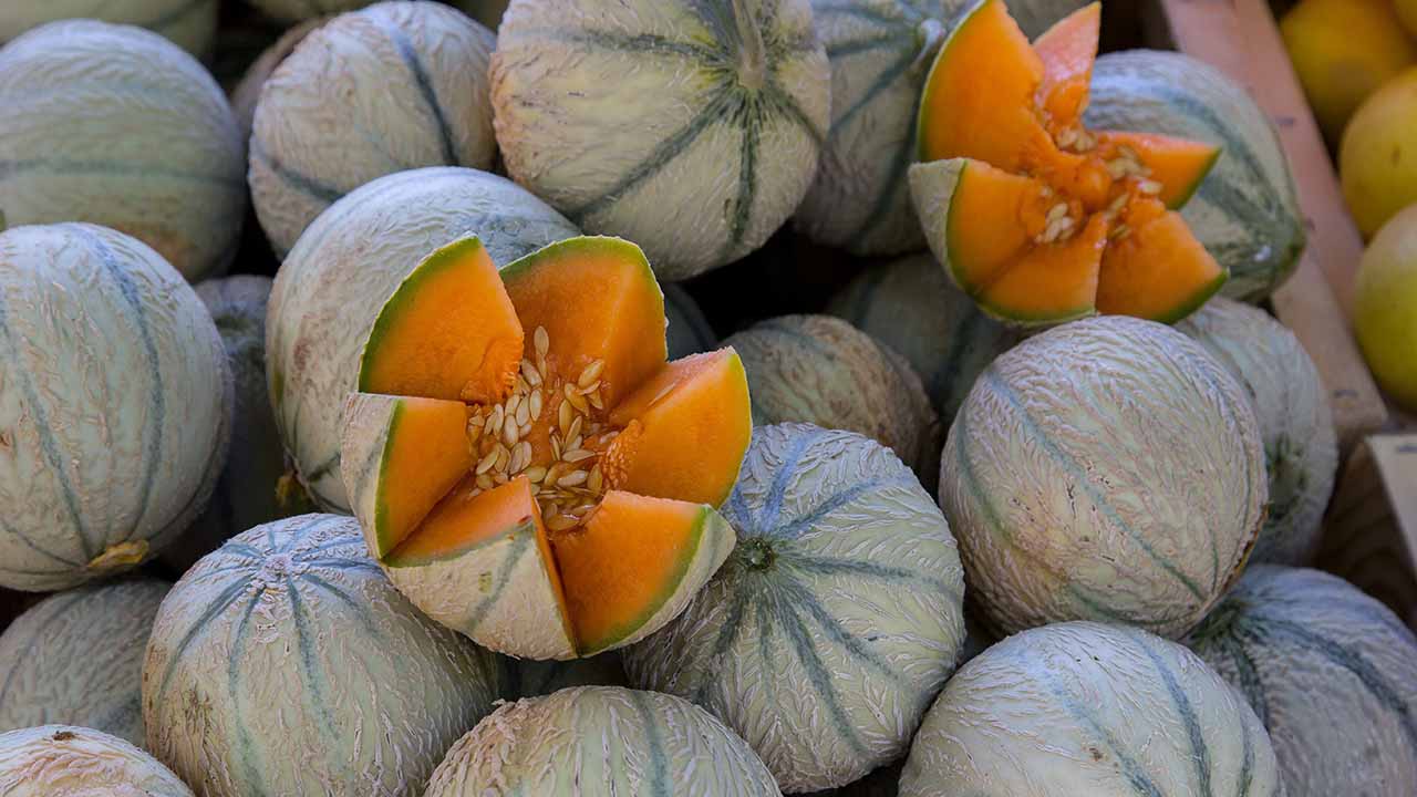 Proprietà del melone: benefici, calorie e perché è l’alleato perfetto dell’estate