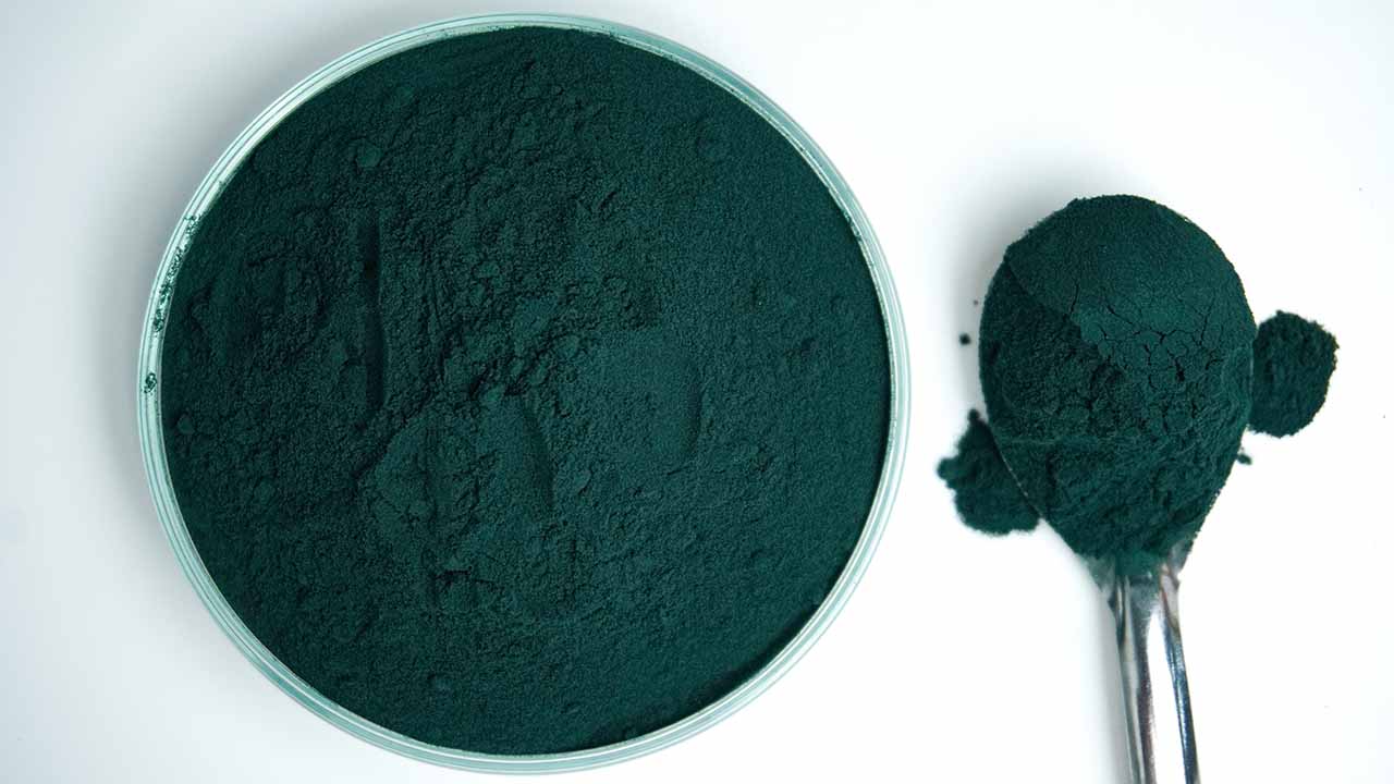 Spirulina in estate: i benefici dell’alga contro la spossatezza da afa
