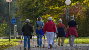 camminata metabolica programma